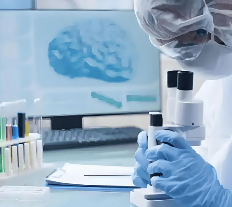 脑-肿瘤类器官共培养+药筛