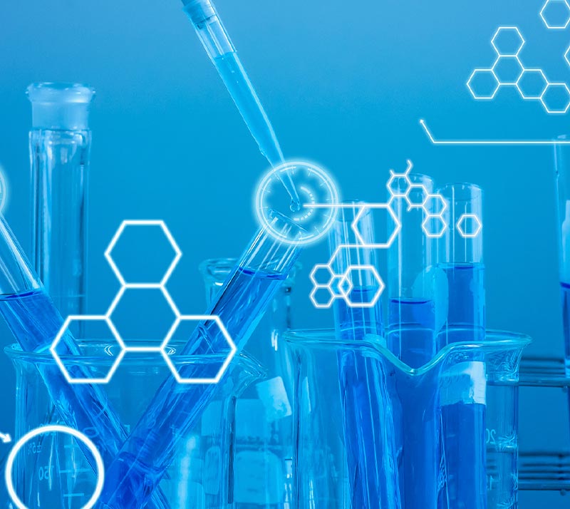 病理鉴定(HE+IF/IHC)