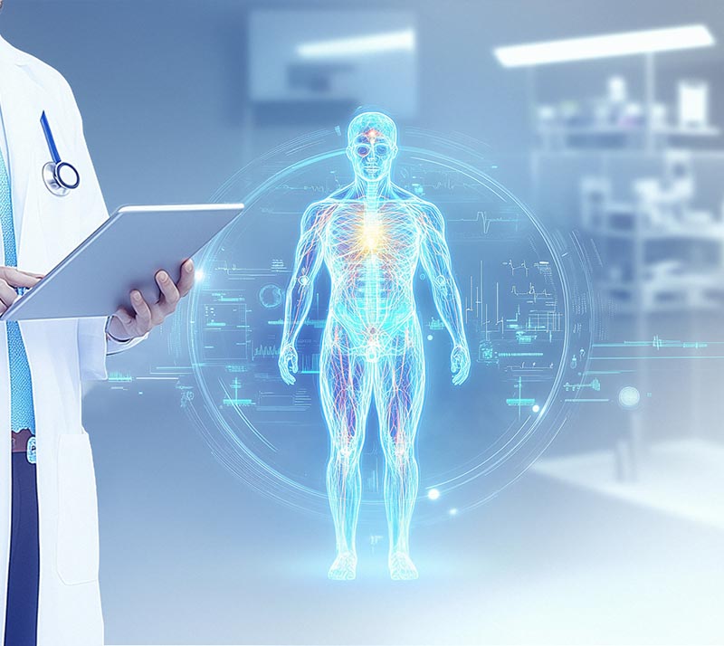 正常组织类器官构建(人/鼠)