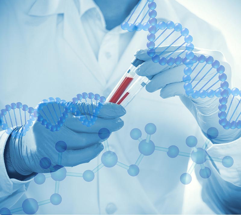 类器官标准株(PDO库)