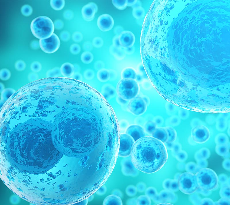 来源肿瘤类器官(PDO)建系