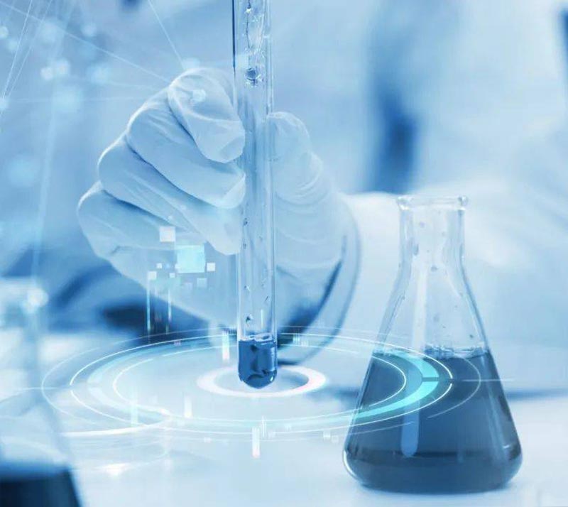 类器官毒理学评价