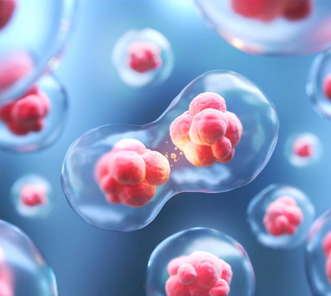 新生儿干细胞存储