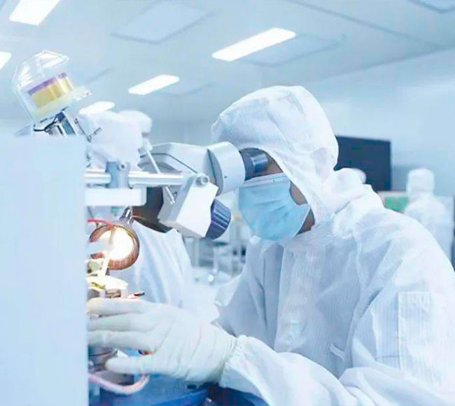 菌株研发与生产