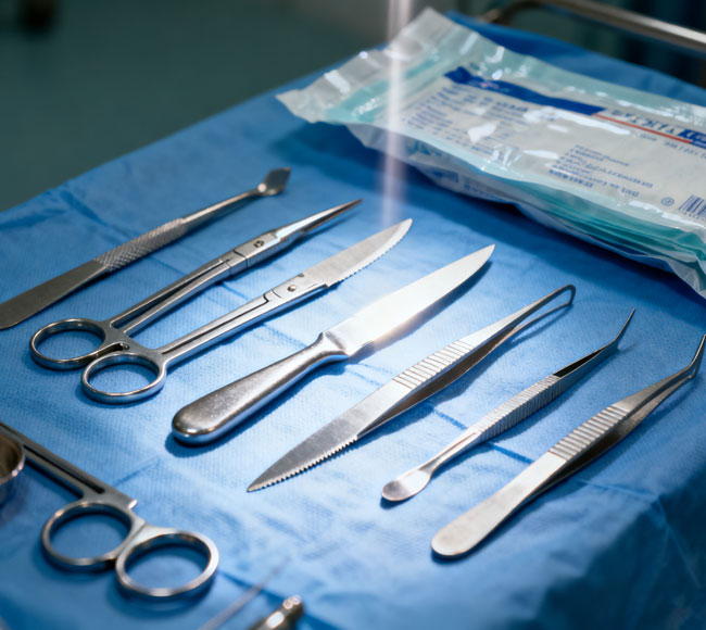 菌株授权与供应